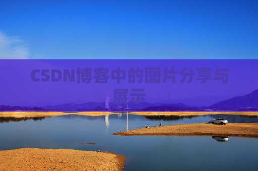 CSDN博客中的图片分享与展示